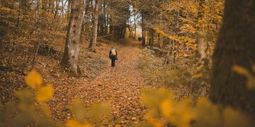 Les Randos de NaturaRando77